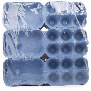 Eton Blue Egg Box Pack of 20