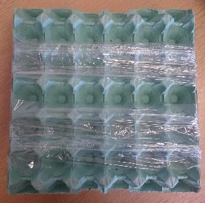 Green Egg Tray - Holds 30 eggs - Pack of 6  