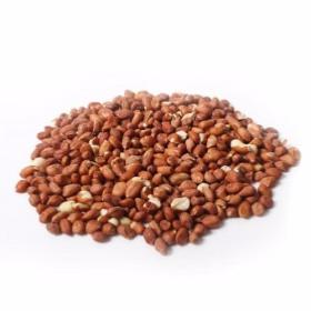 HGK Wild Bird Peanuts 13kg 